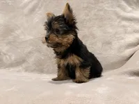 processed/bca54713-a891-4199-bda2-e2b397b4ef7d/listing/17c47ef5-d965-43cb-b453-c59d90181fdf/4e8c1952-6d4f-43bc-8de6-6a5bc4e1e0be