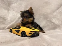 processed/bca54713-a891-4199-bda2-e2b397b4ef7d/listing/17c47ef5-d965-43cb-b453-c59d90181fdf/79dad5cc-2f99-4050-ab1f-a93f7c06234c