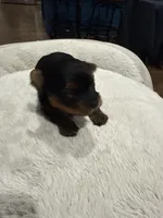 processed/bca54713-a891-4199-bda2-e2b397b4ef7d/listing/c5553773-5641-43e6-8bf1-cd2461a9c452/849cffcd-ee0d-4629-90ce-94df92815e8f