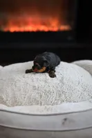 processed/bca54713-a891-4199-bda2-e2b397b4ef7d/listing/c5553773-5641-43e6-8bf1-cd2461a9c452/e4c7d80c-18e4-43ac-a0db-530bf9598929