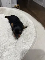 processed/bca54713-a891-4199-bda2-e2b397b4ef7d/listing/c5553773-5641-43e6-8bf1-cd2461a9c452/fe497de6-ac88-494f-87f6-a3ce5ea9036e