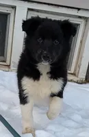 processed/bca9ef8c-f25d-435d-bf26-778eb9f53d9a/listing/634f54bf-e94e-40f1-b9c5-3a2ef8f889c4/e208efae-0eec-41e8-b15e-dc1e751986a8