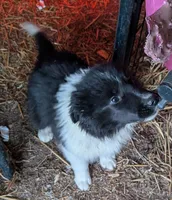 processed/bca9ef8c-f25d-435d-bf26-778eb9f53d9a/listing/db4a4cff-0cf9-4b03-952e-5c04d224d11a/9881538f-8f0f-4900-9ddd-6a03cd770bcb