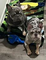 processed/bcabd565-e7a5-4a39-9f65-10ba4c207b4d/facility/0ade275c-af40-4ab2-8b2a-5c3f1ec778a5