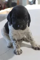 processed/bcaec8ed-2b1a-4f78-895d-3b9352ebb90b/listing/332b861c-5f35-406f-ba8f-32c25b77177d/1a880544-0f9b-4d0d-b4e4-af4f0838ab30