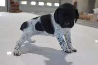 processed/bcaec8ed-2b1a-4f78-895d-3b9352ebb90b/listing/332b861c-5f35-406f-ba8f-32c25b77177d/244de20d-3de9-4f05-bfc4-da58de6824c0