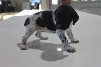 processed/bcaec8ed-2b1a-4f78-895d-3b9352ebb90b/listing/332b861c-5f35-406f-ba8f-32c25b77177d/5911c6fb-ad18-4b10-a442-b1c6460eb750