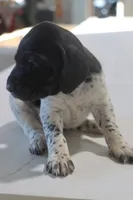 processed/bcaec8ed-2b1a-4f78-895d-3b9352ebb90b/listing/332b861c-5f35-406f-ba8f-32c25b77177d/5d0683c2-7036-40fd-843c-d4c6aae8d17b