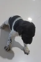 processed/bcaec8ed-2b1a-4f78-895d-3b9352ebb90b/listing/332b861c-5f35-406f-ba8f-32c25b77177d/841cb8a4-4c59-4ca4-8f32-d57117728159