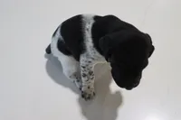 processed/bcaec8ed-2b1a-4f78-895d-3b9352ebb90b/listing/332b861c-5f35-406f-ba8f-32c25b77177d/848eaa4d-237a-4ab3-9af6-8cf0c36daec8