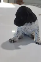 processed/bcaec8ed-2b1a-4f78-895d-3b9352ebb90b/listing/332b861c-5f35-406f-ba8f-32c25b77177d/8b8106b8-2277-4c60-8fee-0617857d23b3