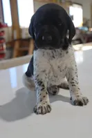 processed/bcaec8ed-2b1a-4f78-895d-3b9352ebb90b/listing/332b861c-5f35-406f-ba8f-32c25b77177d/a791e45c-96f5-4797-84d4-77a046ad1dbd