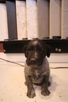 processed/bcaec8ed-2b1a-4f78-895d-3b9352ebb90b/listing/5c83b260-f3b9-40b4-9acc-a29591824248/24163ffb-b37a-4179-8f2c-99030fd38d4a