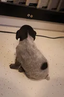 processed/bcaec8ed-2b1a-4f78-895d-3b9352ebb90b/listing/5c83b260-f3b9-40b4-9acc-a29591824248/3e6c3332-9247-4c18-92bb-304d6179b2f7