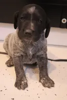 processed/bcaec8ed-2b1a-4f78-895d-3b9352ebb90b/listing/5c83b260-f3b9-40b4-9acc-a29591824248/9721dee7-be1f-48c5-9708-1ee46f5ad679