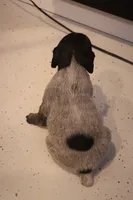 processed/bcaec8ed-2b1a-4f78-895d-3b9352ebb90b/listing/5c83b260-f3b9-40b4-9acc-a29591824248/a33ea006-0e46-4fb2-8674-895791abbe61