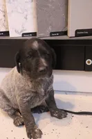 processed/bcaec8ed-2b1a-4f78-895d-3b9352ebb90b/listing/5c83b260-f3b9-40b4-9acc-a29591824248/bc4431a6-2d33-4ff3-ae59-78a0241d46e1