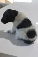 processed/bcaec8ed-2b1a-4f78-895d-3b9352ebb90b/listing/838f2981-8dfa-45c1-80b4-79996fc2fd6a/407c16d1-5493-4fd4-bbeb-8506c63532ce