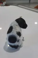 processed/bcaec8ed-2b1a-4f78-895d-3b9352ebb90b/listing/838f2981-8dfa-45c1-80b4-79996fc2fd6a/4d0f435a-63ae-4fe4-9fa7-ef820ddfec0a