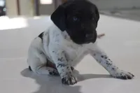 processed/bcaec8ed-2b1a-4f78-895d-3b9352ebb90b/listing/838f2981-8dfa-45c1-80b4-79996fc2fd6a/5ffe4223-3c3f-484a-88a0-eb67f8ec4796