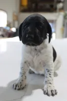 processed/bcaec8ed-2b1a-4f78-895d-3b9352ebb90b/listing/838f2981-8dfa-45c1-80b4-79996fc2fd6a/6e401f05-12a1-4bd9-b818-81d53c924b3f