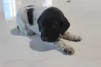 processed/bcaec8ed-2b1a-4f78-895d-3b9352ebb90b/listing/838f2981-8dfa-45c1-80b4-79996fc2fd6a/6f8468ea-dc9a-4bb1-a653-c2ebd42b22d3