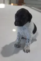 processed/bcaec8ed-2b1a-4f78-895d-3b9352ebb90b/listing/838f2981-8dfa-45c1-80b4-79996fc2fd6a/8722837b-c511-482b-8c5d-127dda08f37b