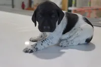 processed/bcaec8ed-2b1a-4f78-895d-3b9352ebb90b/listing/838f2981-8dfa-45c1-80b4-79996fc2fd6a/95a2ae11-6849-47df-a157-9af1632ebe7a