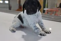 processed/bcaec8ed-2b1a-4f78-895d-3b9352ebb90b/listing/838f2981-8dfa-45c1-80b4-79996fc2fd6a/96aa09ba-99bf-4288-ba1a-6c4e684a482f