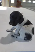 processed/bcaec8ed-2b1a-4f78-895d-3b9352ebb90b/listing/838f2981-8dfa-45c1-80b4-79996fc2fd6a/b98a1f9a-7d29-453a-be2d-f5d2e2a2d3c1