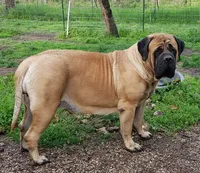 processed/bcbb21f6-7f63-448f-b038-d8fe7426872b/listing/48c6cca9-9a70-4030-b380-74414a0eea68/e7b03853-f727-4d1c-bab5-93d226e261fa