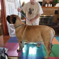 processed/bcbb21f6-7f63-448f-b038-d8fe7426872b/listing/715545f7-9a62-4c07-a4df-2b73fbf398d1/e20b0284-3207-4c77-9f8c-882b902627ec