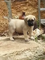 processed/bcbb21f6-7f63-448f-b038-d8fe7426872b/listing/bf390c7a-fc37-4950-b56d-7bdf37fe6d60/7f2c837d-3ea7-46cf-805c-6e814fed02a6