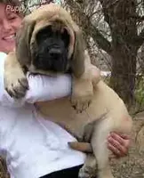 processed/bcbb21f6-7f63-448f-b038-d8fe7426872b/listing/d589de8a-c6e8-4c5b-9d6f-28a192dc7d4e/029fadc4-d061-46e4-a09e-23fb3c093e97