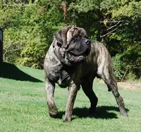 processed/bcbb21f6-7f63-448f-b038-d8fe7426872b/listing/d589de8a-c6e8-4c5b-9d6f-28a192dc7d4e/184e8f99-e3db-458b-9087-ae6bcc5ca297