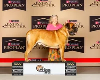 processed/bcbb21f6-7f63-448f-b038-d8fe7426872b/listing/d589de8a-c6e8-4c5b-9d6f-28a192dc7d4e/39e6fc22-f1af-46a4-8990-094bf79ac997