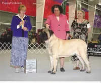 processed/bcbb21f6-7f63-448f-b038-d8fe7426872b/listing/d589de8a-c6e8-4c5b-9d6f-28a192dc7d4e/93443cd0-9e9b-40b1-bf2f-9c649fa8ff6d