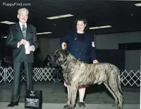 processed/bcbb21f6-7f63-448f-b038-d8fe7426872b/listing/d589de8a-c6e8-4c5b-9d6f-28a192dc7d4e/d0a05336-561d-4ff3-879b-799772e79ea0