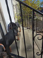 processed/bcc6bc68-f97e-4089-bdb5-51156316b27d/listing/7c8cc235-66a1-449e-9024-02f119c117c9/42c5d3fd-85e0-4ffd-83dd-2c52225fc1d3