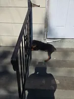 processed/bcc6bc68-f97e-4089-bdb5-51156316b27d/listing/7c8cc235-66a1-449e-9024-02f119c117c9/ca977d3e-e597-4868-8d0a-f0767d7d8409