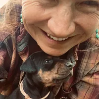 Pink, a female Doberman Pinscher for sale in Cheney, WA – 2 of 6