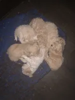 processed/bce207d0-03c2-4a0f-b3d1-2da25d267ee6/facility/173c0e76-71c9-4672-a89e-32351c0d12ed