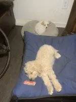 processed/bce207d0-03c2-4a0f-b3d1-2da25d267ee6/facility/2974a3c7-b0f5-4eb9-8238-b0b56fc22f42