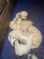 processed/bce207d0-03c2-4a0f-b3d1-2da25d267ee6/facility/410dd973-07ae-4f22-87d8-e8fd306cffca