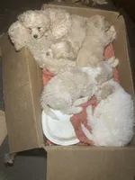 processed/bce207d0-03c2-4a0f-b3d1-2da25d267ee6/facility/8fc843ef-2a6b-4057-95d8-2d4a9576bfe8