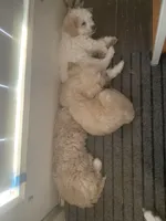 processed/bce207d0-03c2-4a0f-b3d1-2da25d267ee6/facility/e0dba45f-9841-43d2-aae0-e6881e9efcb4