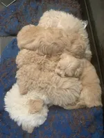 processed/bce207d0-03c2-4a0f-b3d1-2da25d267ee6/facility/e5fa6385-317b-489c-9bdd-01453fa49530