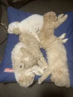 processed/bce207d0-03c2-4a0f-b3d1-2da25d267ee6/facility/e9e7f21a-3cfe-414c-ac23-a4c565c90564