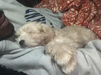 processed/bce207d0-03c2-4a0f-b3d1-2da25d267ee6/facility/fe2caae6-ced4-4075-bd1c-20b54e5e75bd