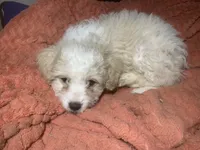 processed/bce207d0-03c2-4a0f-b3d1-2da25d267ee6/listing/2012c514-436a-4e77-92d2-c5c1bf7dd899/7273bf8c-244c-4e8a-a8a3-3b1cb7ad58fd